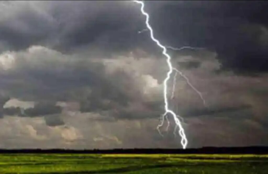 साताऱ्यात अवकाळी पावसाचा कहर, वीज पडून गाय ठार, नारळानेही घेतला पेट