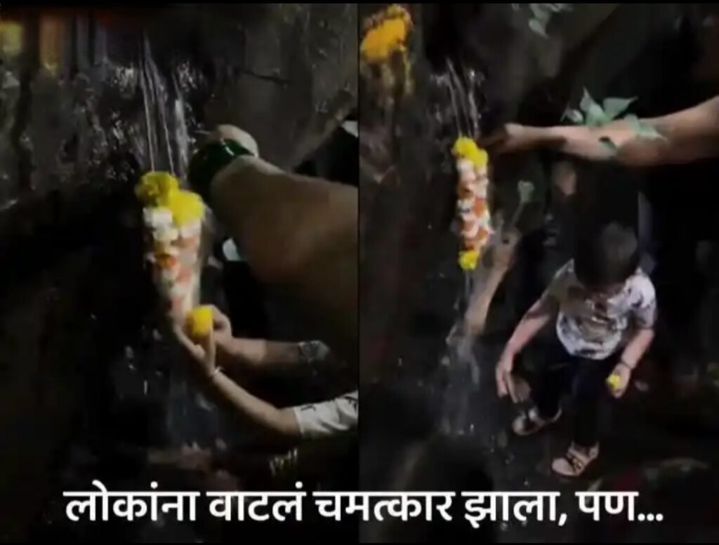 पुण्यात अंधश्रद्धेचा कळस ! झाडातून वाहू लागलं पाणी, लोकांनी पूजा करत घेतले आशीर्वाद; नंतर कळलं की…